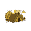 Explore and discover