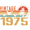 Vintage 1975 Verjaardagscadeau - Vintage 1975
