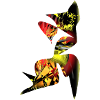 abstrakt bunt