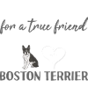 I Asked God Boston Terrier