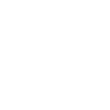Boston Terrier Mom