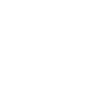 Papa Boston Terrier