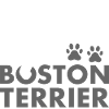 Loved By A Boston Terrier