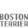 Property Of A Boston Terrier