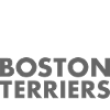 Coffee And Boston Terrier