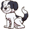 Cute Shih Tzu Dog