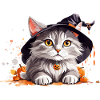 Halloween cat