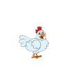 Lustiger Hühner Spruch Huhn