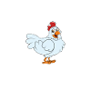 Funny Chicken Saying Chicken