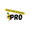 Work From Anywhere Pro
