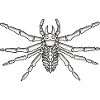 Squelette d’Halloween d’araignée
