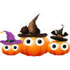 pumpkin, pumpkins, family, halloween