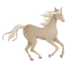 Horse Golden, Akhal-Teke