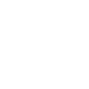 2029