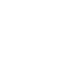 Year Number 1994