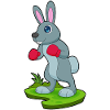 Hase Boxer Boxhandschuhe Boxen