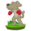 Dog Boxer Boxing Gloves Boxing
