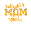 Volleyball Mom Volleyball Mom