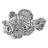 Nemo noir