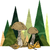 Fungi