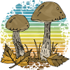 Pilze