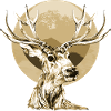 Hirsch