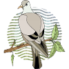 Vogel