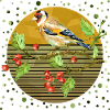 Bunter Vogel