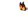 Aesthetic penguin with butterfly