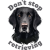 Don't stop retrieving - Labrador