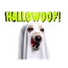 Hallowoof Halloween Dog
