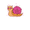 Cool Snail Animal