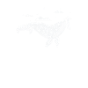Pattern on whale with diver