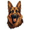 Berger Allemand Malinois