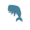 Sperm whale marine animal lives in the ocean