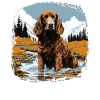 Dog American Water Spaniel