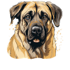 Dog Kangal