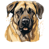 Dog Kangal