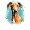 Chien Azawakh