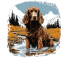 Dog American Water Spaniel