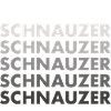 Schnauzer