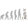 Evolution Schnauzer