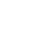 Schnauzer Definition