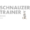 Schnauzer Trainer Definiton