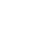 Painter Varnisher Definition