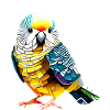 Budgie Bird Owner Cockatiel Bird