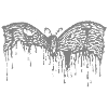 Moth