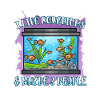 Aquarium Fish Gift