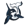 Blackfish Twist