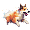 Chien de course